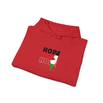 Hoodie — "HOPE" Palestinian Flag Graphic Pullover