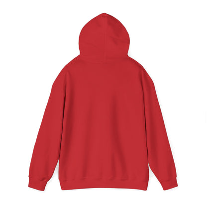 Free Palestine Free Gaza Hoodie – Solidarity Protest Pullover