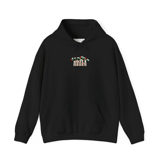 Minimal 'Calm' Palestine Flag Hoodie — Small Center Graphic