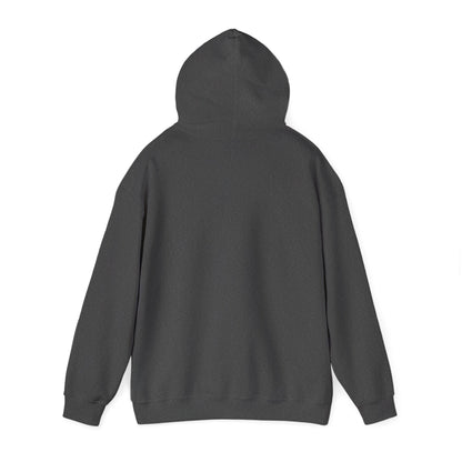 Inspirational "What Is Written Will Reach You" Hoodie — Religious Motivational Pullover