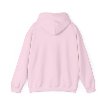 Hoodie — "HOPE" Palestinian Flag Graphic Pullover