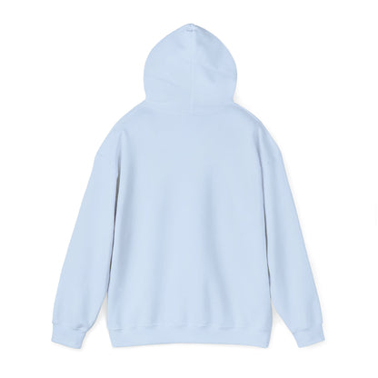 Hoodie — "HOPE" Palestinian Flag Graphic Pullover