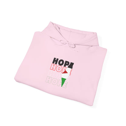 Hoodie — "HOPE" Palestinian Flag Graphic Pullover