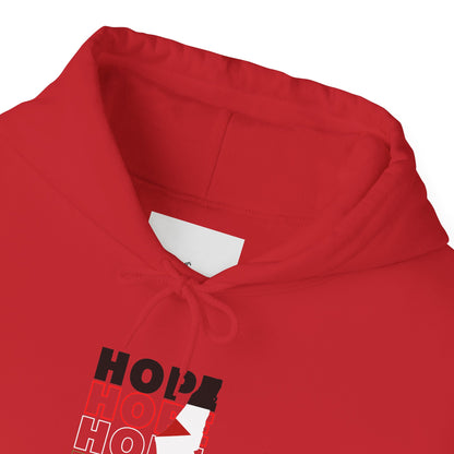 Hoodie — "HOPE" Palestinian Flag Graphic Pullover