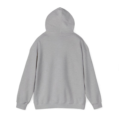 Inspirational "What Is Written Will Reach You" Hoodie — Religious Motivational Pullover
