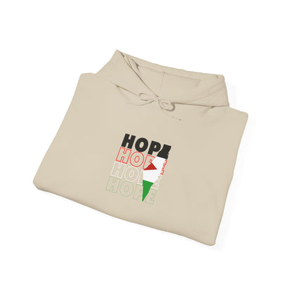 Hoodie — "HOPE" Palestinian Flag Graphic Pullover