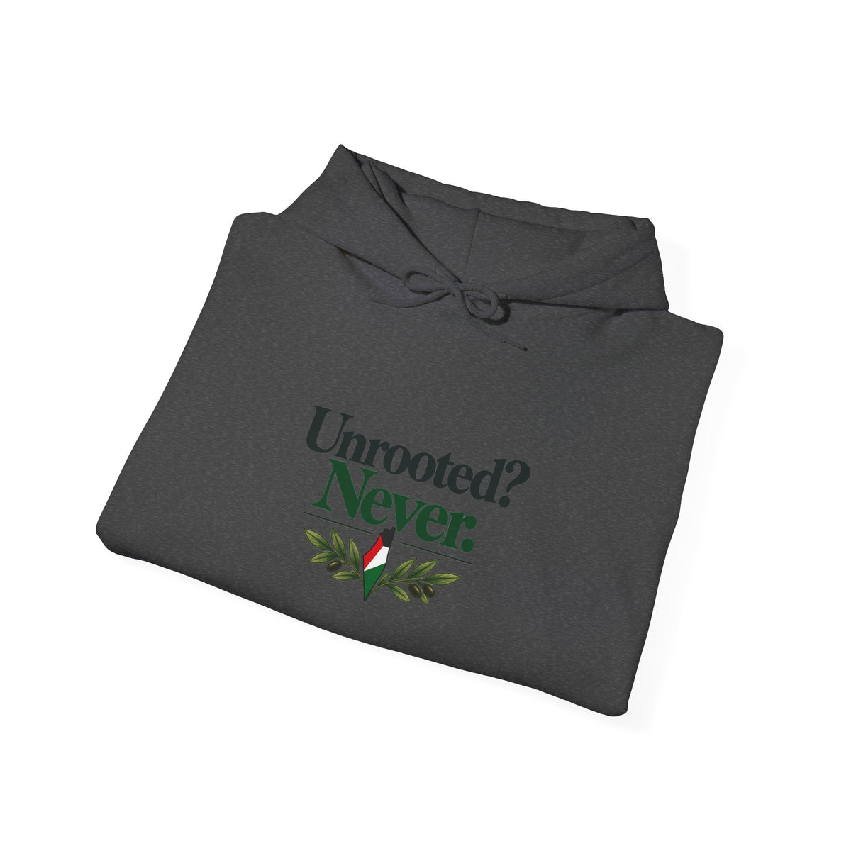 Hoodie — "Unrooted? Never." / "Roots Deeper Than Occupation" Graphic Hoodie