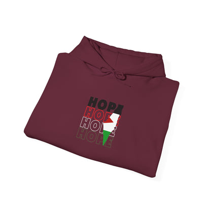 Hoodie — "HOPE" Palestinian Flag Graphic Pullover