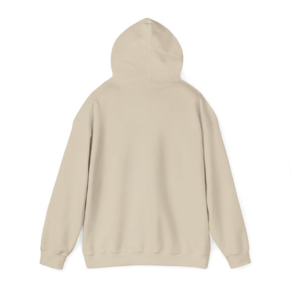 Hoodie — "HOPE" Palestinian Flag Graphic Pullover